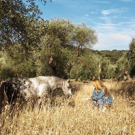Casa Masseria Le Ville 페스키치 외부 사진